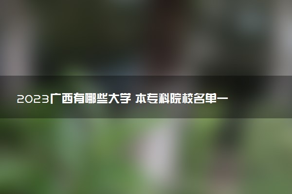 2023廣西有哪些大學 本?？圃盒Ｃ麊我挥[表