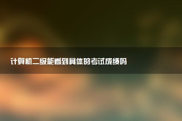 計算機二級能看到具體的考試成績嗎