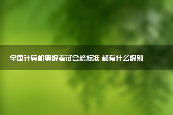全國(guó)計(jì)算機(jī)等級(jí)考試合格標(biāo)準(zhǔn) 都有什么級(jí)別