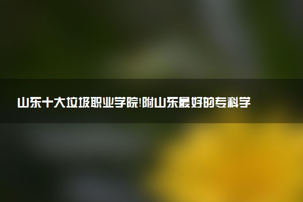 山東十大垃圾職業(yè)學(xué)院！附山東最好的?？茖W(xué)校公辦排名（2022參考）