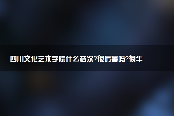 四川文化藝術(shù)學(xué)院什么檔次？很厲害嗎？很牛嗎？