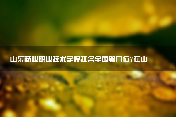 山东商业职业技术学院排名全国第几位?在山东排多少名?