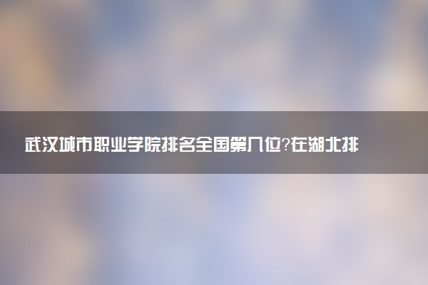 武汉城市职业学院排名全国第几位?在湖北排多少名?
